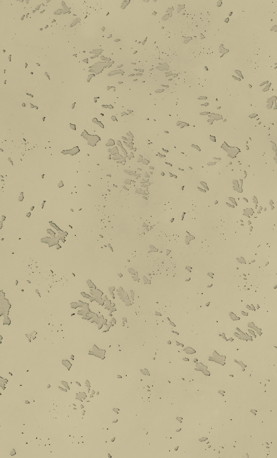 Topcem-efectohormigon-w4-mojave