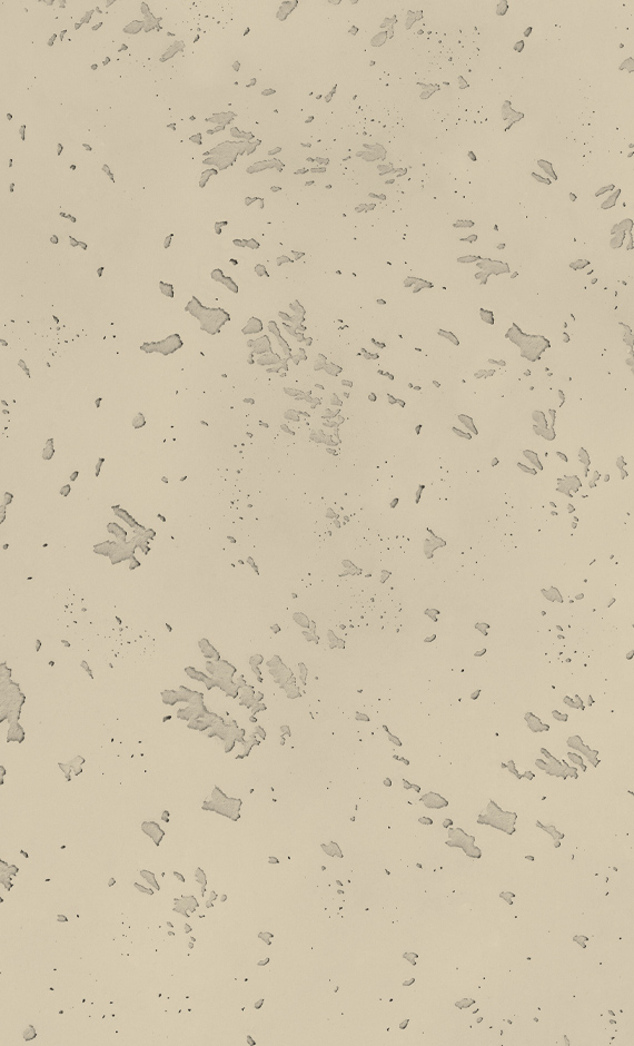 Topcem-efectohormigon-w5-cream