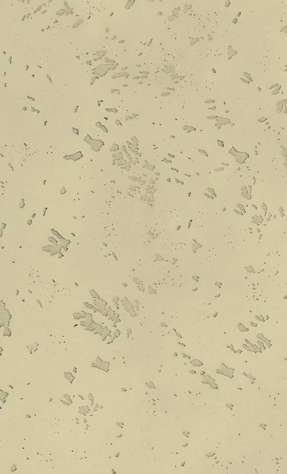 Topcem-efectohormigon-w6-fossile