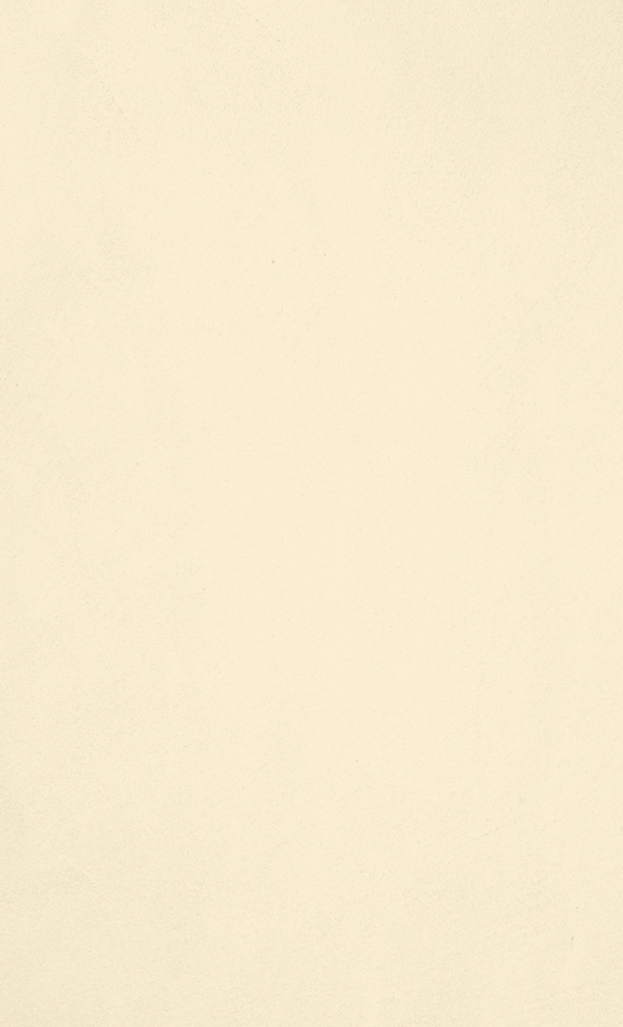 Topcem-granza-w02-bone-1