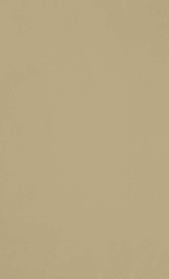 Topcem-granza-w03-latte-1