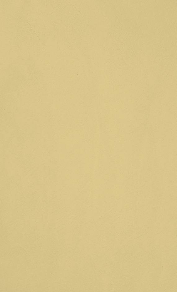 Topcem-granza-w07-golden-sand-1