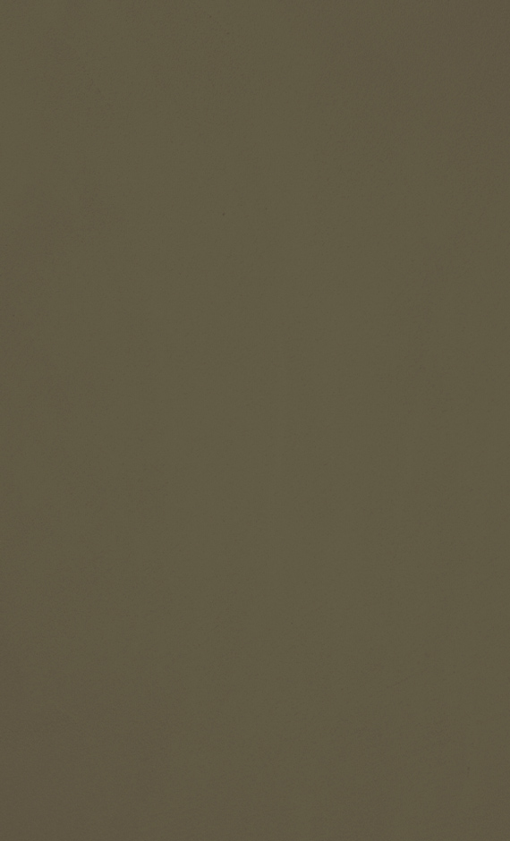 Topcem-granza-w14-cement-1