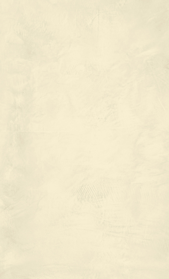 Topcem-traditional-w2-bone