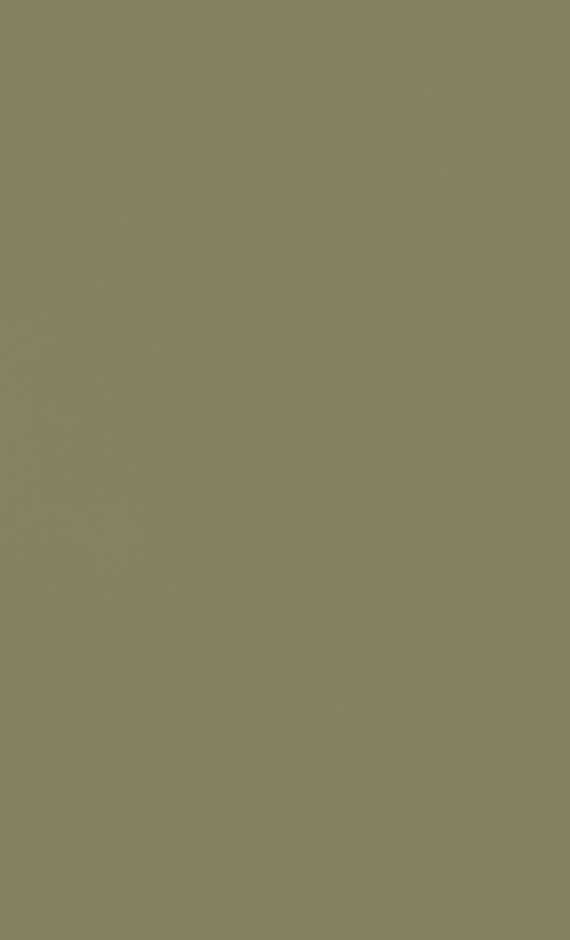 Topcem-uzino-w19-amazonia